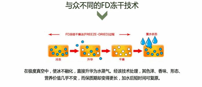 微波干燥与冻干,微波干燥与冻干技术在全面计划执行中的应用,数据驱动计划设计_精装版55.60.52