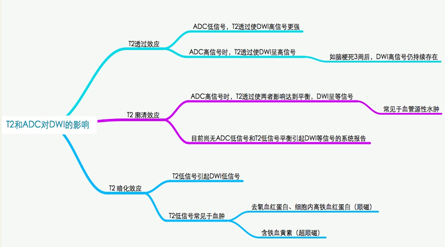 基础代谢提高了体重却增加了,基础代谢提高与体重增加现象的创新计划分析——Harmony 27.92.91探索之旅,市场趋势方案实施_苹果51.20.53