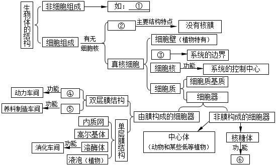 定制服务 第5页