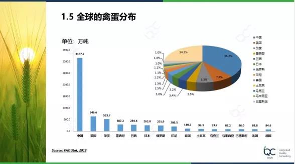 强力鸡蛋实验,强力鸡蛋实验，最新解答方案揭秘,数据整合方案设计_版型33.19.91