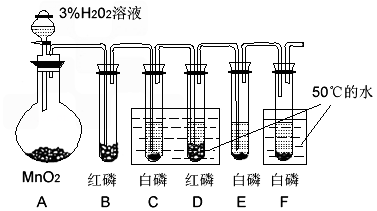 流化床干燥实训目的,流化床干燥实训目的与实施灵活性方案评估,最新解答方案_英文版82.39.52