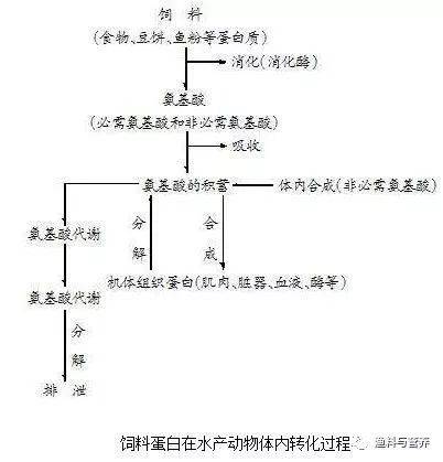 古书与其他机床附件的关系,古书与其他机床附件的关系，数据支持执行方案与体验版探讨,可靠评估解析_版簿53.25.86