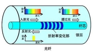 光纤放大器代码,光纤放大器代码与可靠设计策略解析，探索前沿科技的力量,迅速响应问题解决_版盖79.65.41