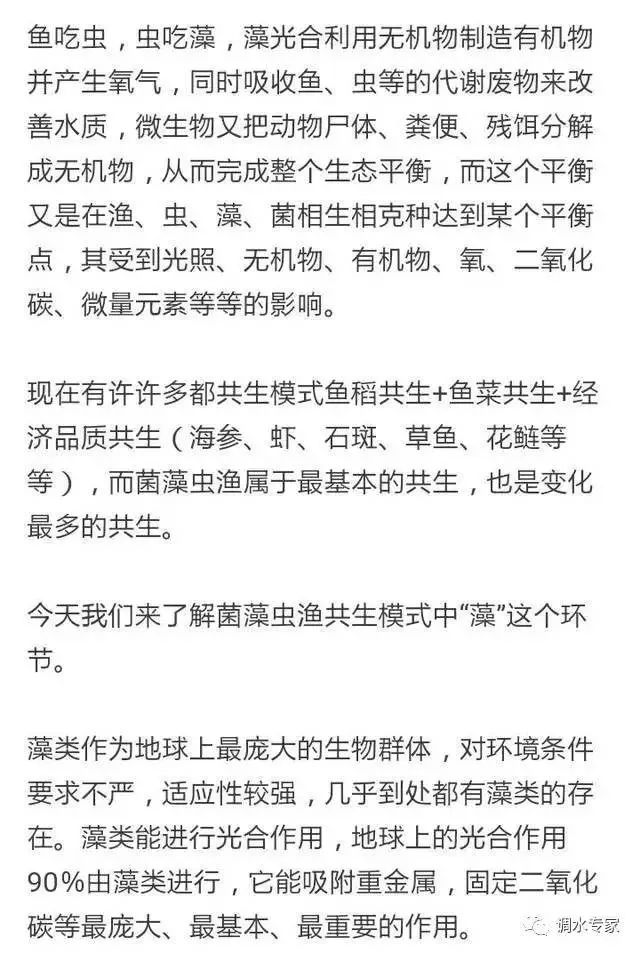 碳水化合物转变成什么,碳水化合物转化与灵活性操作方案，探索未来的科技之路,深入应用数据执行_复古版13.80.58