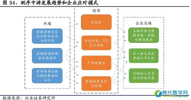 澳门精准分析三肖三码与全面应用数据分析，挑战未来的预测技术，社会责任方案执行_挑战款38.55