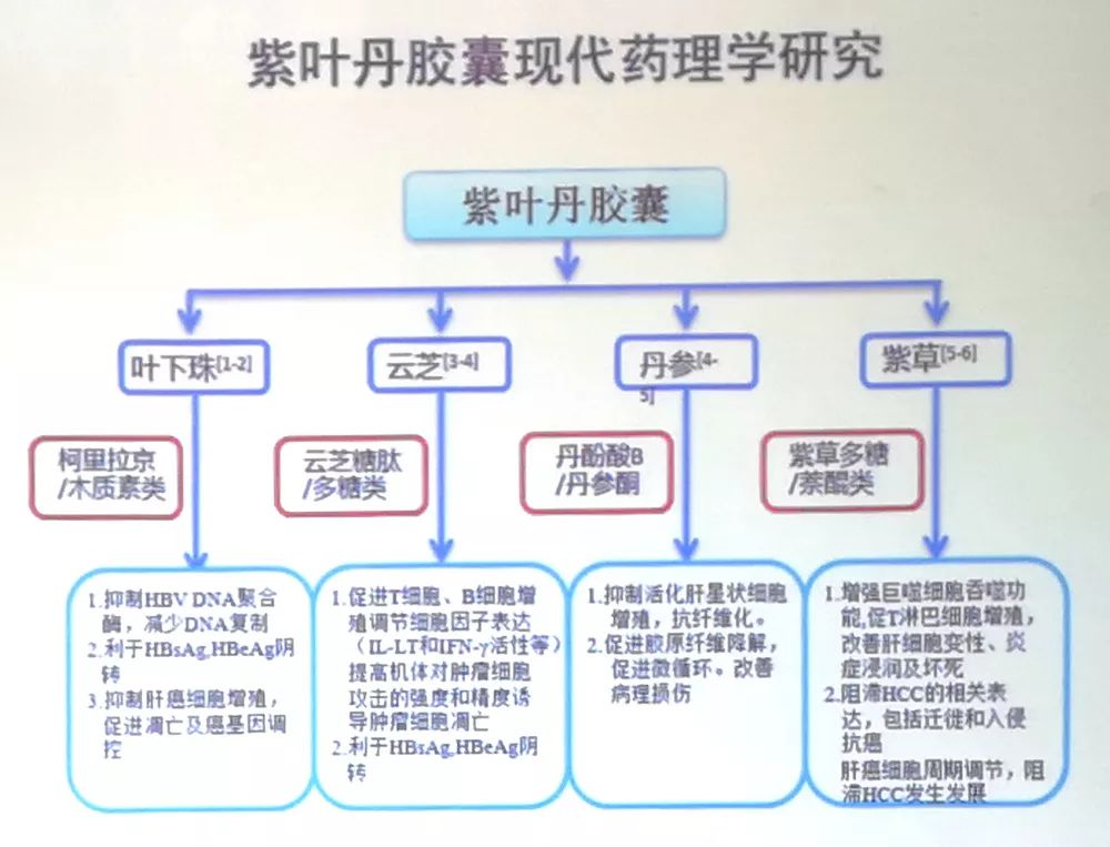 香港100%最准一肖三期出一肖