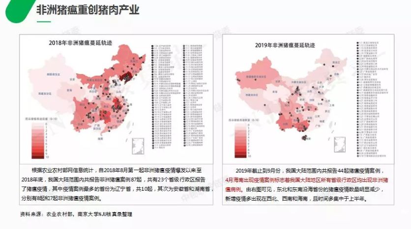 2025香港特马出