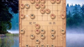 什么棋有比赛冠军